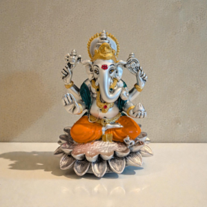 pxl 20260121 064619516.raw 02.original